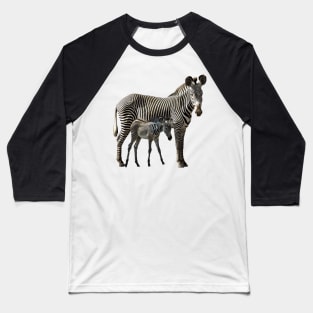 Grevy Zebra Mama with Baby in Kenya / Africa Baseball T-Shirt